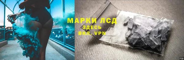 сатива Беломорск