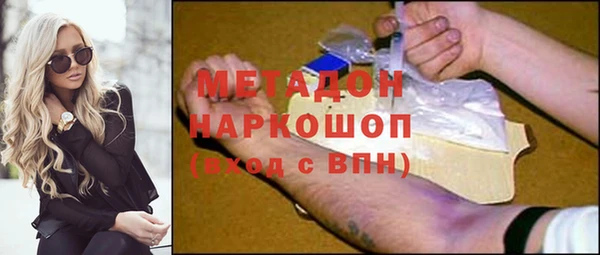 сатива Беломорск