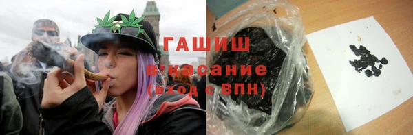 сатива Беломорск