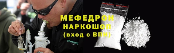 сатива Беломорск