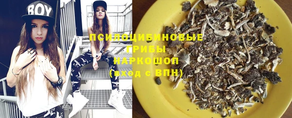 кокаин Белокуриха