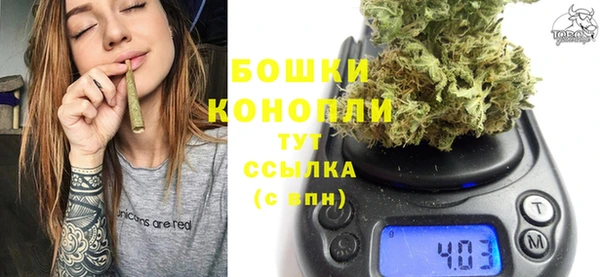 сатива Беломорск