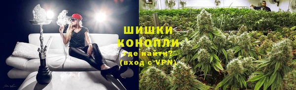 кокаин Белокуриха