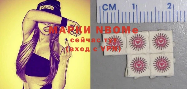 сатива Беломорск